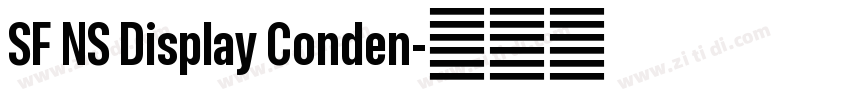 SF NS Display Conden字体转换